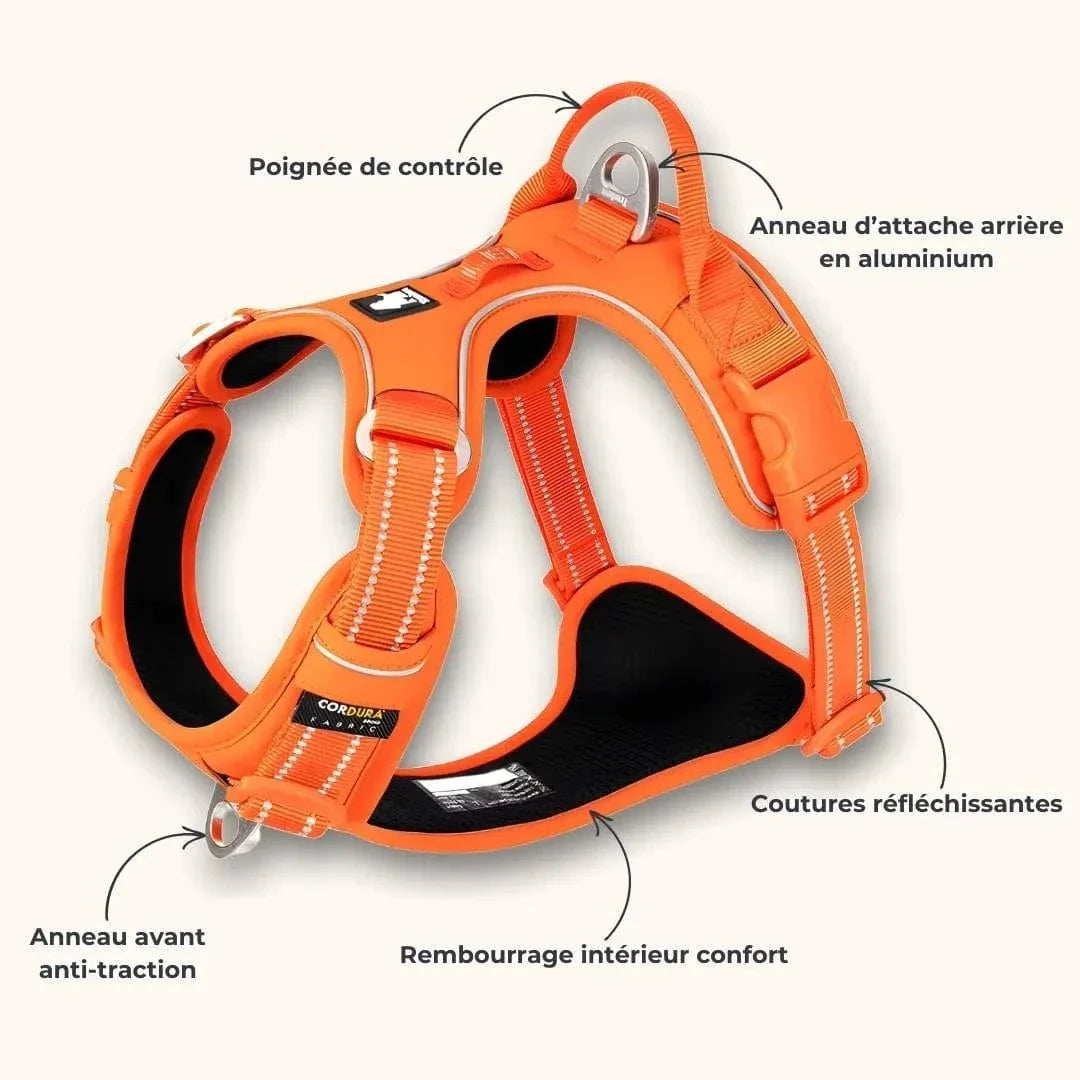 Harnais anti-traction Truelove Country Plus orange avec poignée, anneau avant anti-traction et coutures réfléchissantes