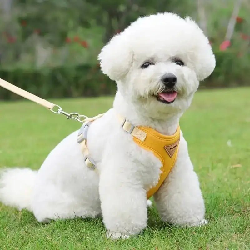 Harnais doux pour chiot avec laisse assortie, tissu respirant pour petit chien blanc