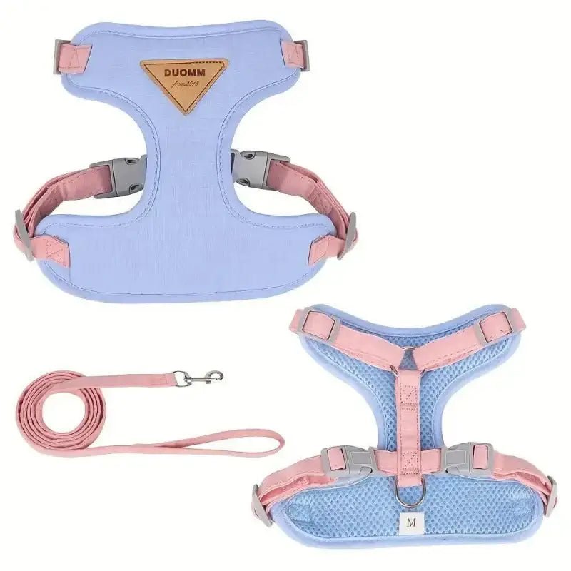 Harnais pour petit chien avec laisse assortie, tissu respirant et facile à enfiler