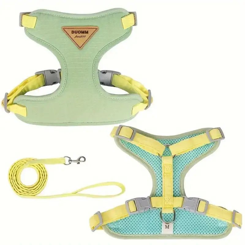 Harnais doux pour chiot avec laisse assortie, tissu respirant pour petit chien