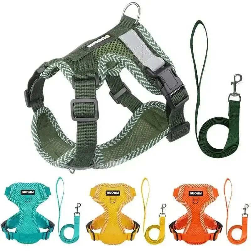 Harnais anti-traction pour usage quotidien avec laisse assortie, harnais rembourré pour chien