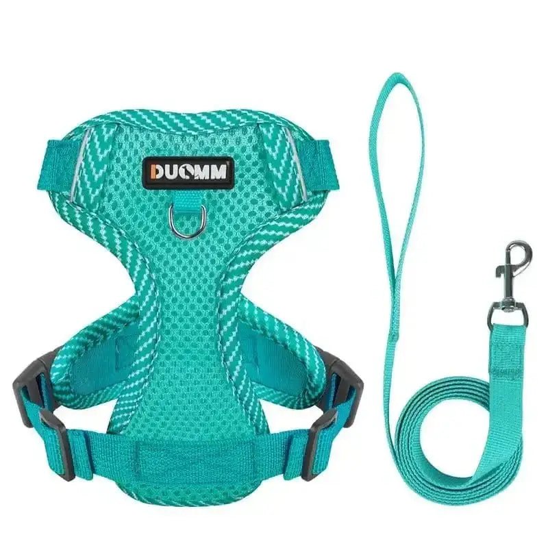 Harnais rembourré avec laisse pour chien turquoise, harnais anti-traction pour usage quotidien