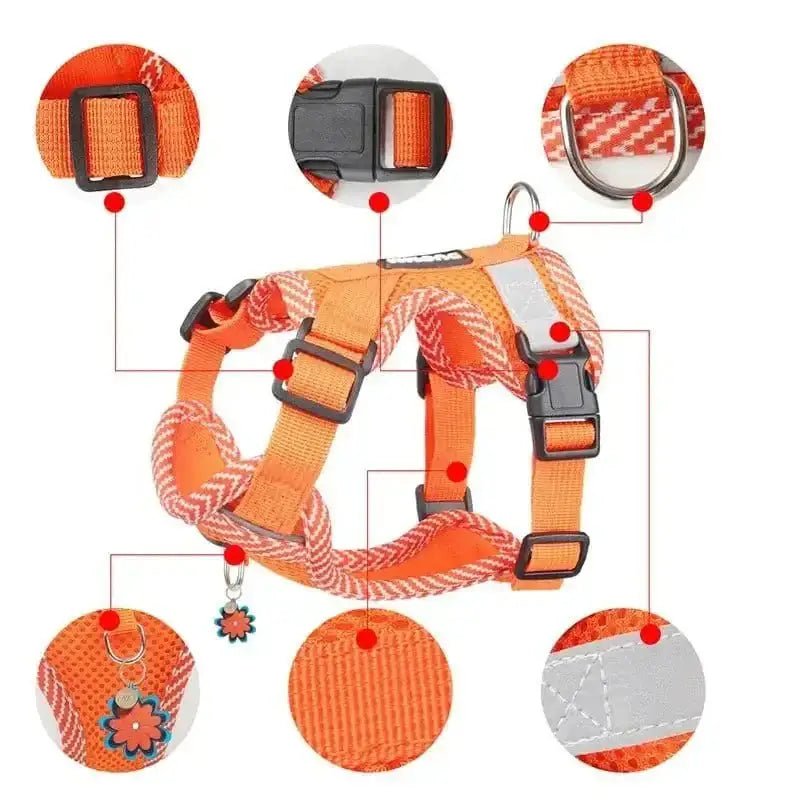Harnais anti-traction orange pour chien avec laisse, harnais rembourré et facile à enfiler