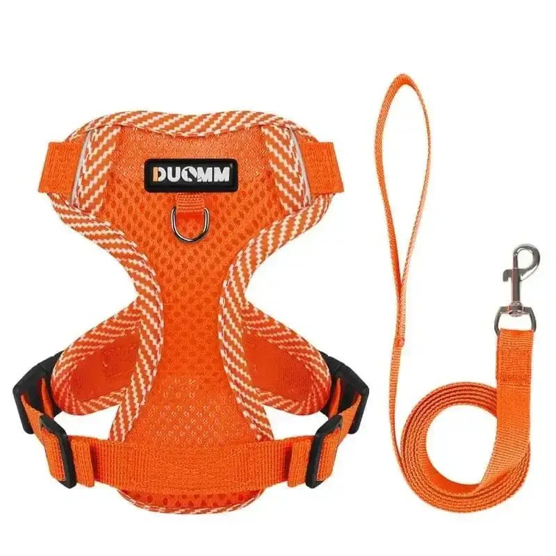 Harnais anti-traction pour usage quotidien avec laisse assortie et harnais rembourré pour chien