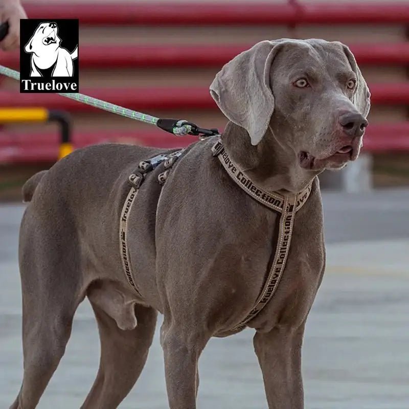 Harnais pour chien anti fugue Truelove TLH6571 en néoprène SBR avec doublure néoprène