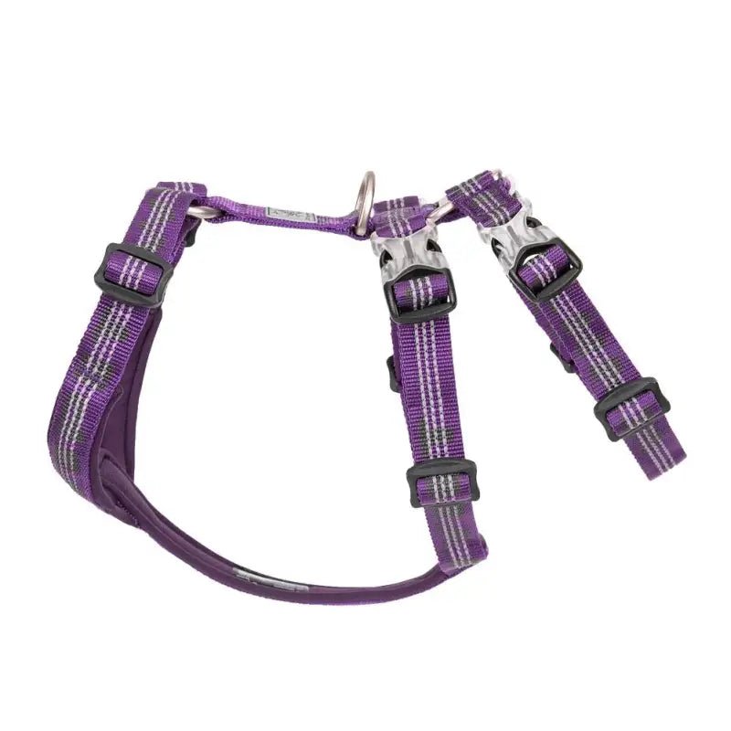 Harnais pour chien Truelove Double H Trail Runner réfléchissant avec bandes réfléchissantes