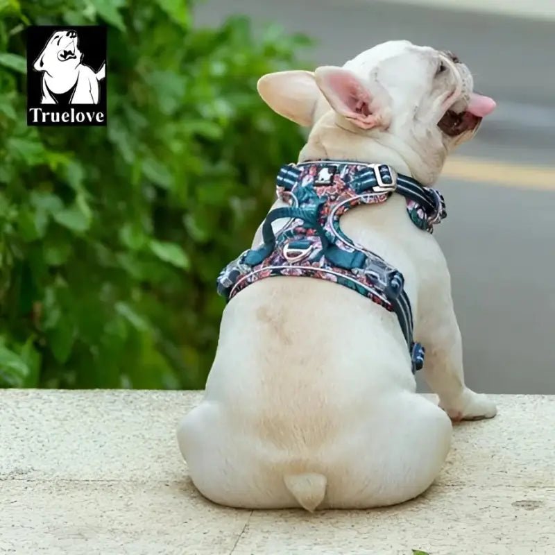 Harnais pour chien en Y Truelove Country Plus motif original floral et camouflage fleuri