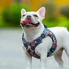 Harnais pour chien en Y Truelove Country Plus motif original floral pour chien stylé