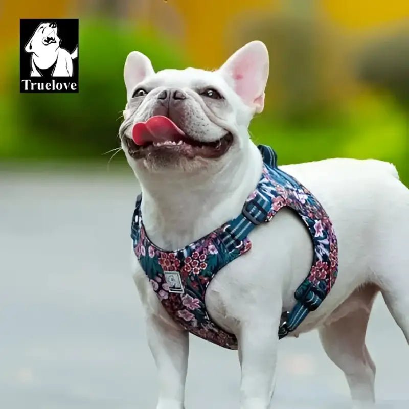Harnais pour chien floral Truelove en coton doux pour petit chien ou chiot léger