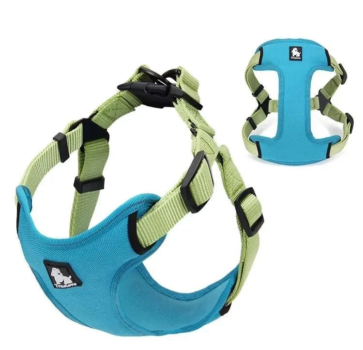 Harnais réfléchissant Truelove SafeWalk bleu et vert avec boucles à dégagement facile