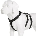 Harnais pour chien Truelove en H sur mannequin blanc, sécurité maximale et confort