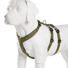 Harnais pour chien Truelove en h vert à motif pour sécurité maximale et confort réglable