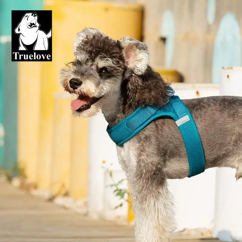 Harnais pour chien Truelove ergonomique et léger avec attache dorsale sécurisée