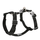 Harnais Truelove en H pour chien réglable, confortable et sécuritaire pour chien actif