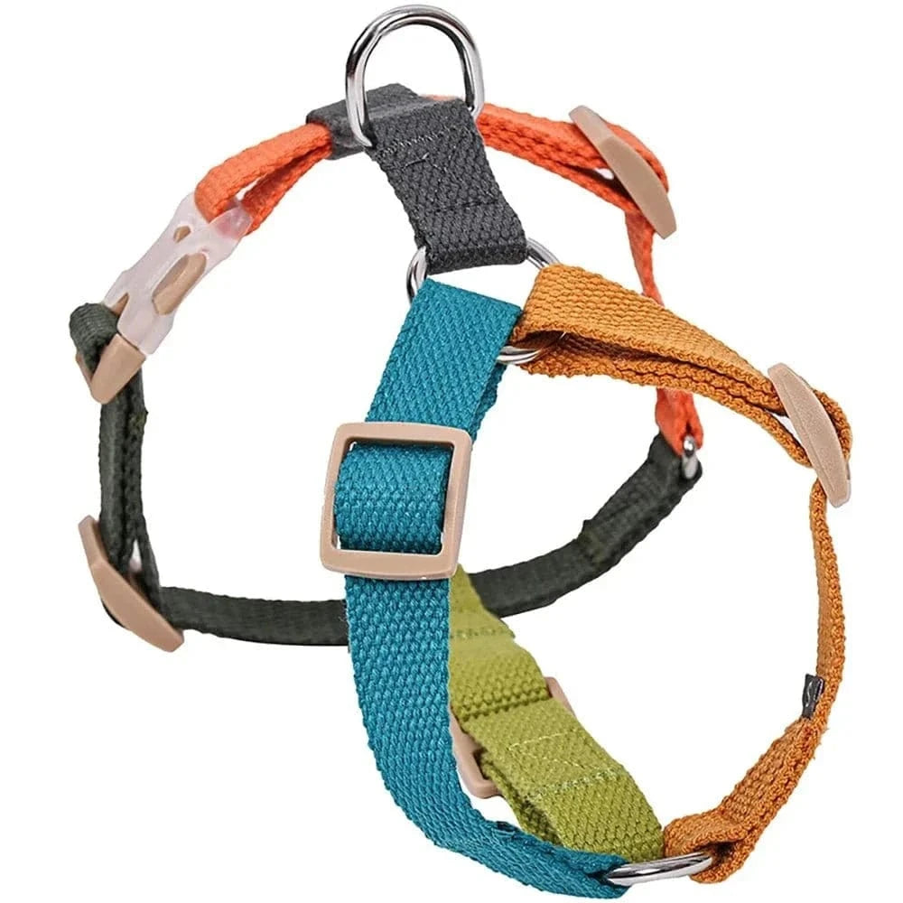 Harnais confort multicouleur pour chien, coloré et confortable pour votre pet