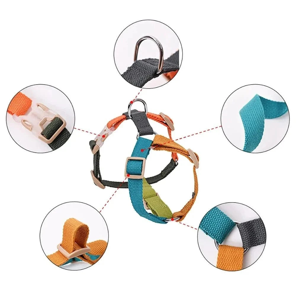 Harnais Confort Multicouleur pour chien avec anneaux en métal et boucles en plastique