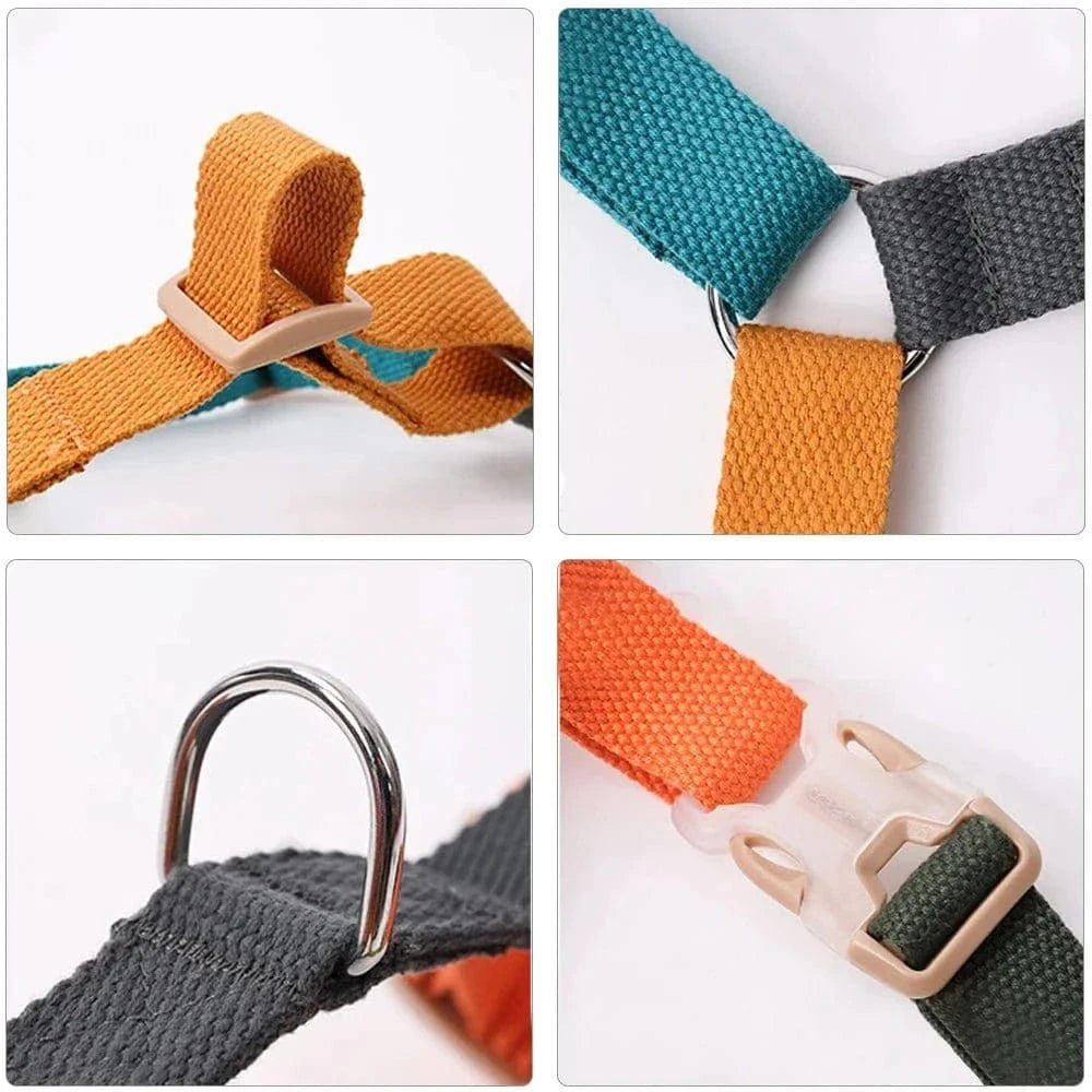 Détails du harnais confort multicouleur nylon coloré pour animal de compagnie