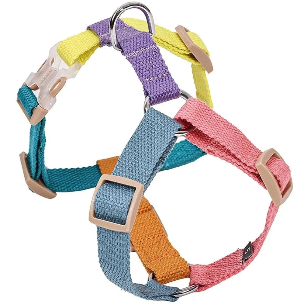 Harnais Confort Multicouleur pour chien, harnais confort et style coloré