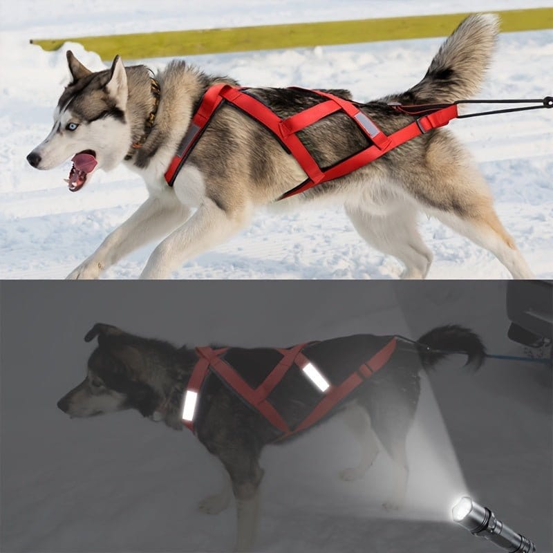 Harnais de Traction Réfléchissant pour chiens moyens pour activités physiques aux chiens