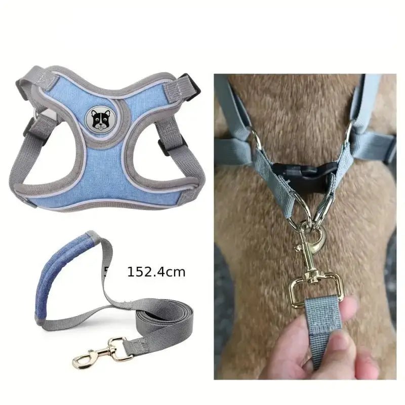 Harnais respirant pour chien avec laisse incluse, doux, confortable et en maille sécurisée