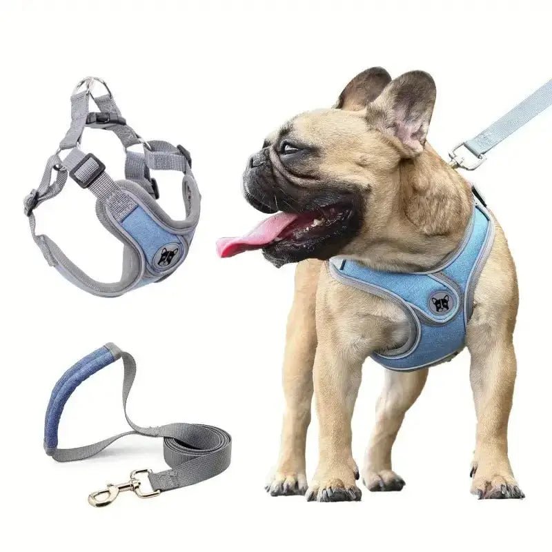 Harnais respirant pour chien avec laisse incluse, doux et confortable pour chien sensible