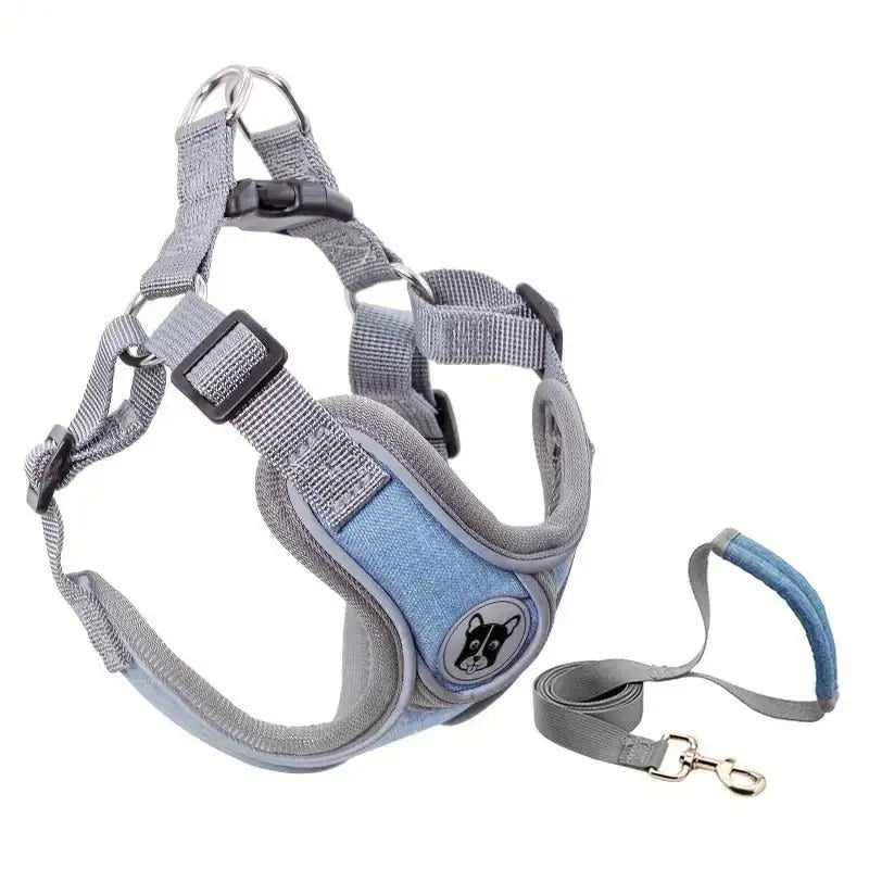 Harnais doux pour chien sensible en maille avec fermeture sécurisée et laisse incluse