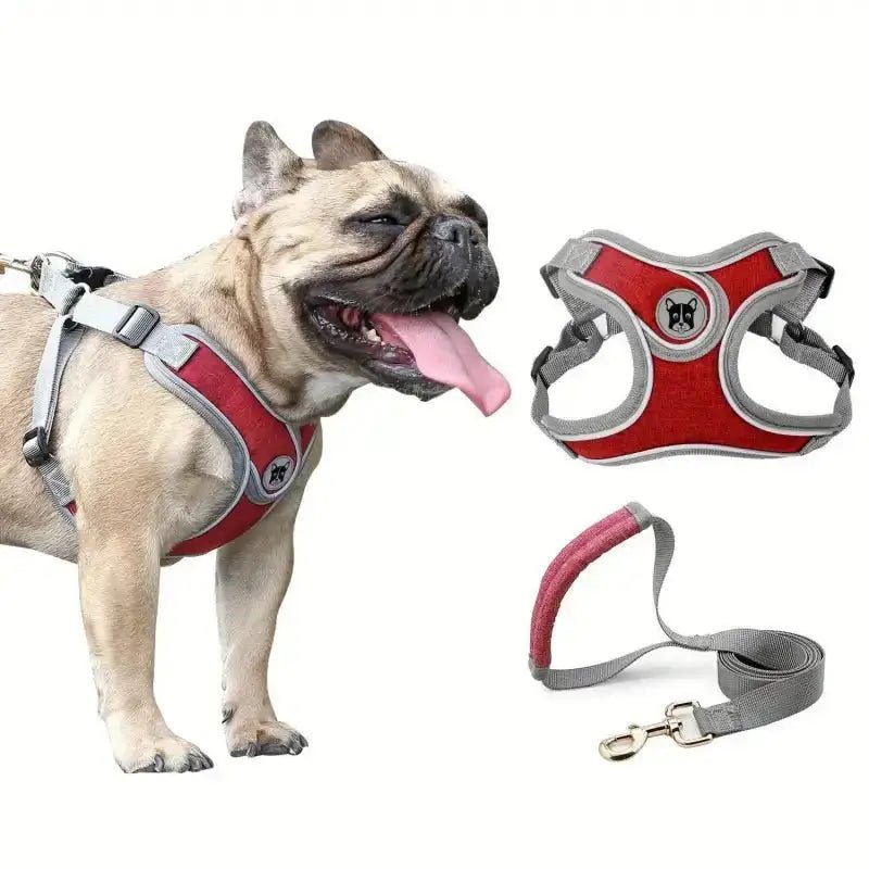 Harnais respirant pour chien avec laisse incluse, doux et confortable pour chien sensible