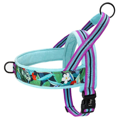 Harnais Doux et Ajustable - Bleu Ciel C - XS