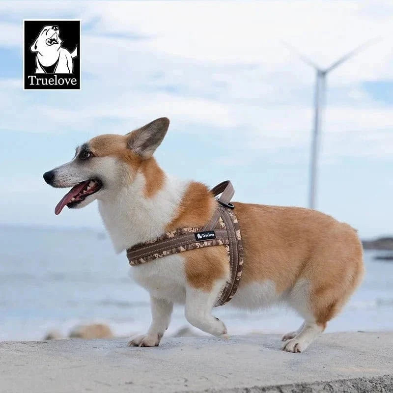 Corgi portant le harnais floral Truelove Mesh facile à enfiler en T Truelove