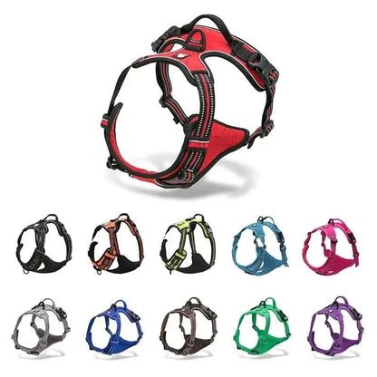 Harnais en Y Truelove Country en plusieurs couleurs pour aux petits chiens, ajustement parfait