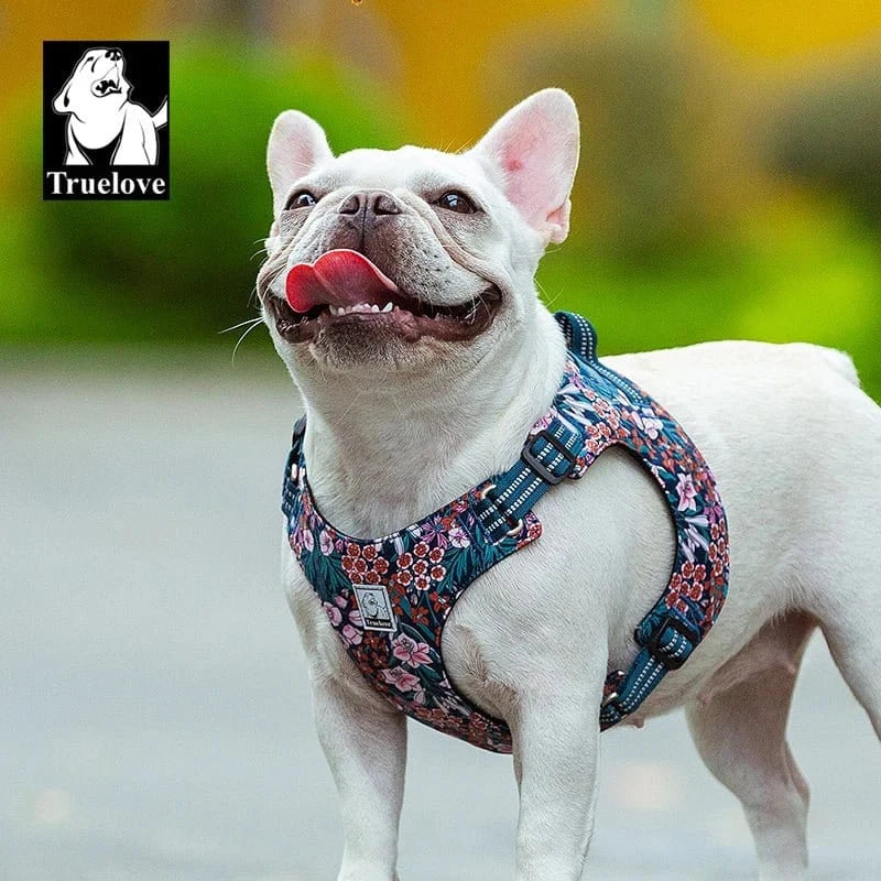Harnais floral Truelove avec boucles à dégagement rapide pour chien blanc French Bulldog