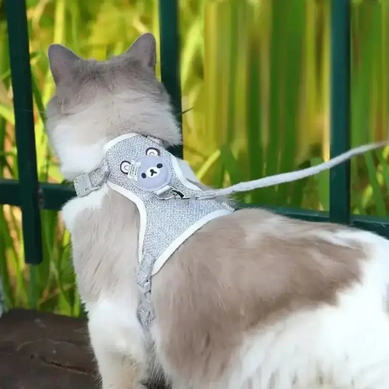 Harnais mignon pour petit chien avec laisse assortie, gris avec emblemours ours