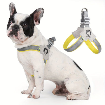 Chien bouledogue français portant un harnais style réfléchant jaune et gris
