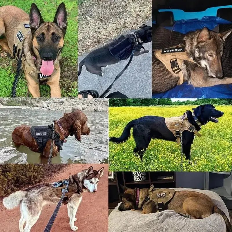 Harnais tactique pour chien avec poignée de contrôle et sangles ajustables, robuste