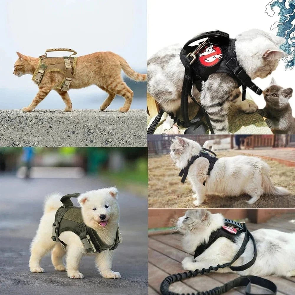 Harnais tactique pour petits chiens avec système molle, idéal pour les chiots