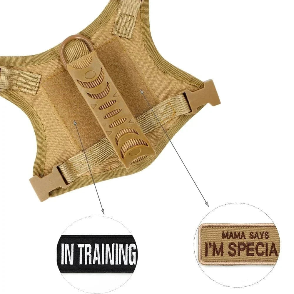 Harnais Tactique pour Chiots et Petits Chiens avec Système Molle, Confortable et Réglable