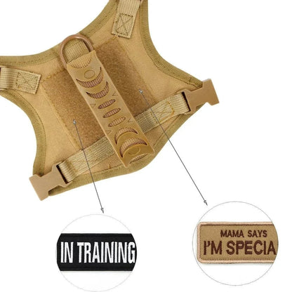 Harnais Tactique pour Chiots et Petits Chiens avec Système Molle, Confortable et Réglable