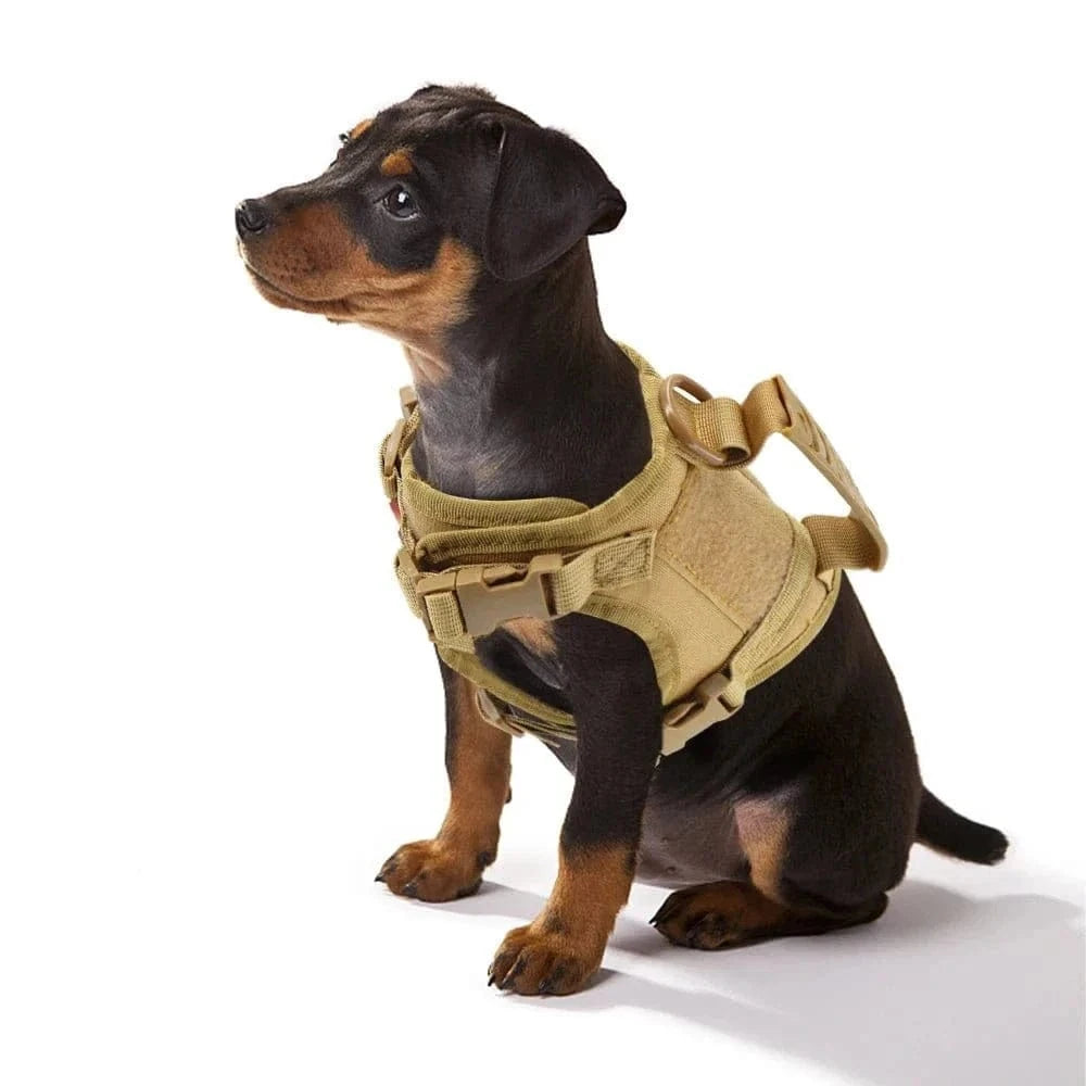 Harnais tactique pour petits chiens, chiot avec système Molle et gilet beige