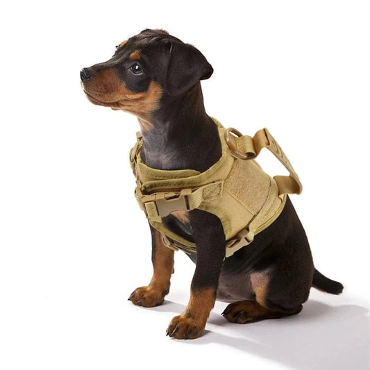 Harnais tactique pour petits chiens, chiot avec système Molle et gilet beige
