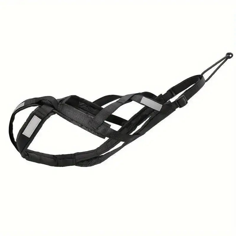 Harnais de traction pour chien canicross et course à pied, adapté pour vélo