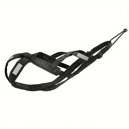Harnais de traction pour chien canicross et course à pied, adapté pour vélo