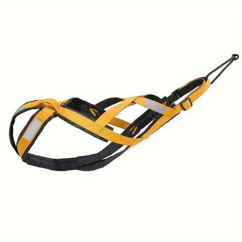 Harnais de traction pour chien canicross, harnais sport chien pour course à pied, vélo