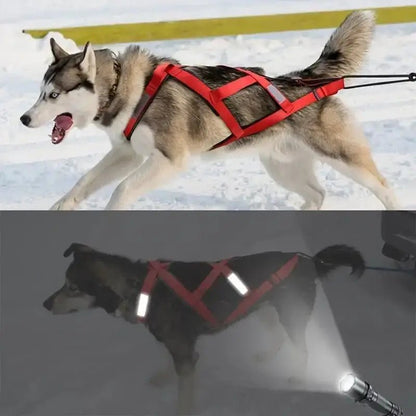 Harnais de traction pour chien canicross avec bande réfléchissante, idéal pour course à pied