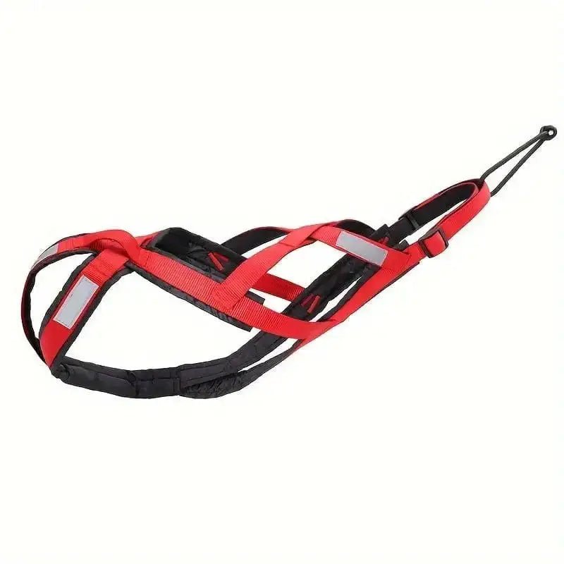 Harnais de traction pour chien canicross, course à pied ou vélo, rouge et noir