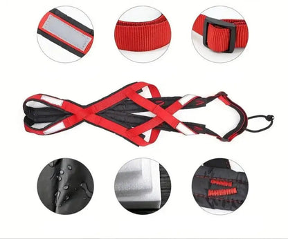 Harnais de traction pour chien canicross, course à pied ou vélo avec sangle rouge et noir