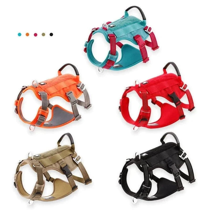 Assortiment de harnais Truelove avec sangles latérales et sangle abdominale