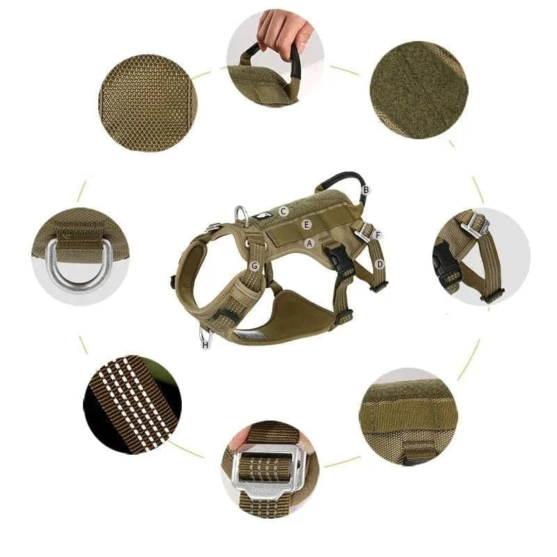 Harnais Truelove Olive Green avec sangles latérales et sangle abdominale, réfléchissant