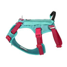 Harnais Truelove chien robuste et sécurisé avec poignée dorsale renforcée et couleur turquoise et rouge