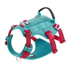 Harnais Truelove chien robuste et ultra sécurisé avec poignée dorsale renforcée en teal et rouge