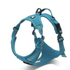 Harnais Truelove Country en Y pour chien rembourré et ajustable avec doublée attache bleu